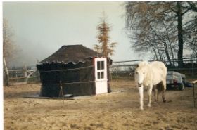 Jurte mit Pferd.jpg